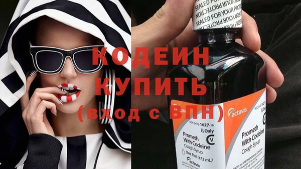 дурь Алексин