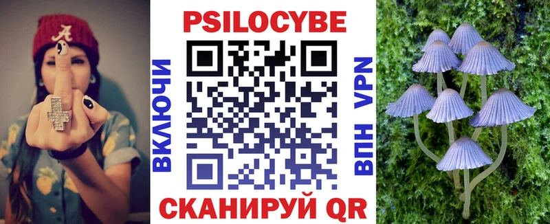 блэк спрут tor  купить наркотик  Плавск  Галлюциногенные грибы мухоморы 
